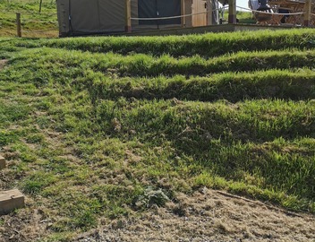 Looe Yurts 5