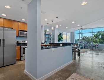 Luxurious 2/2 Downtown Apartment 2
