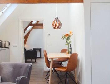 Luxurious and spacious penthouse in city center! 2 bathrooms, airco, wifi. 5