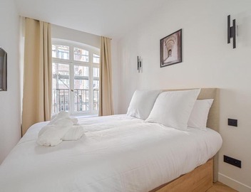 Luxurious & Famous Parisian Flat 2