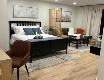 Luxurious modern basement apartment 3
