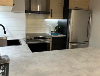 Luxurious modern basement apartment 4