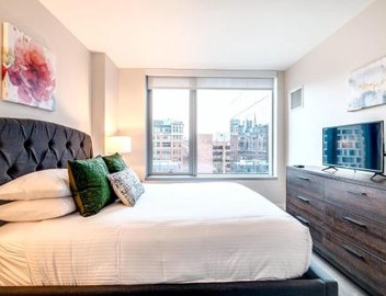 Luxury Apt in the Heart of Seaport 2