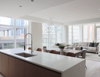 Luxury Loft Collection 903 - Terrace - River North 3