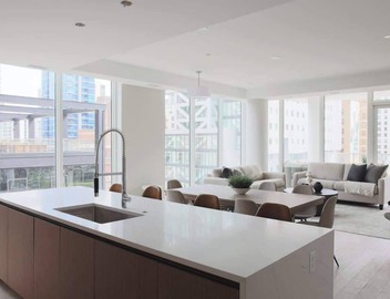 Luxury Loft Collection 703 - Terrace - River North 2