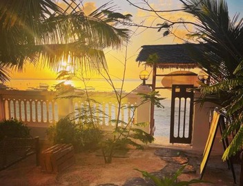 Mambo Paradise 4