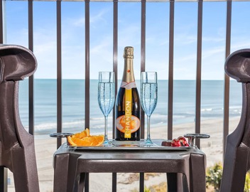 Marvelous Oceanview Suite/Dogs OK! 2