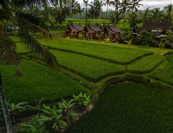 Mathura Ubud 4