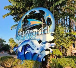 Modern 1 bedroom Apartment and Den in Orlando 5