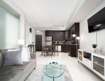 Modern Condo 1 BD 1BA with a Sofabed Downtown 4