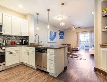 Modern Luxe 1bd/1bath Dream Apartment by Six Flag Magic Mountain/Santa Clarita 4