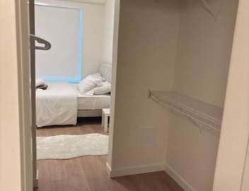 Modern luxury 3