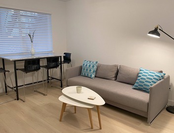 Modern, spacious Main Street Guest Suite, 1 BR 3