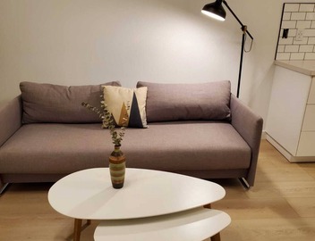Modern, spacious Main Street Guest Suite, 1 BR 4