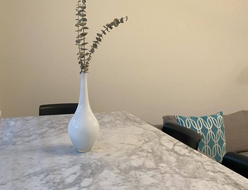 Modern, spacious Main Street Guest Suite, 1 BR 5