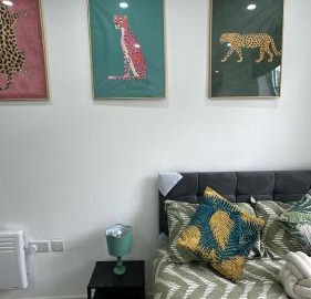 ModrenMuse 2