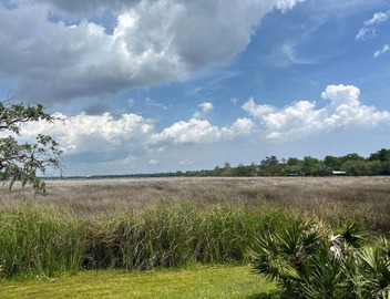 Moss & Marshfront Views, Pool & Island Charm 2