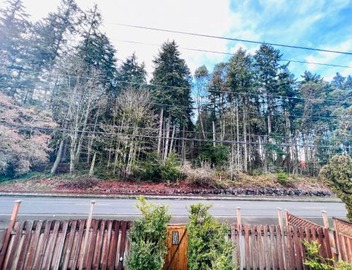 MountForest 5