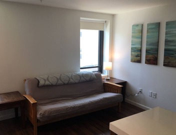 Newly furnished 1 bed, 1 bath. Views of the whole city! 5