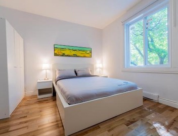 Newly Renovated 3BR 2BA Spacious and Modern 3