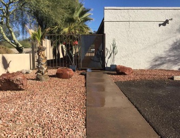 Oasis 4