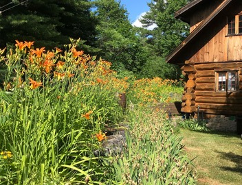 Off Grid Cabin sleeps 2 comfortably and additional 2 on futon. 5
