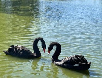 Paradijs Eiland 5