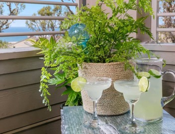 Paradise beach oasis with ocean views in peaceful Del Mar 3