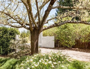 Peaceful, charming, cottage in wine country. Beautiful yard! 5