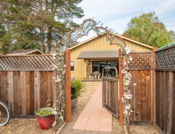 Perfect Charming Cottage on a Quiet Country Lane in Sebastopol 5