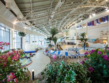 Phoenix Hotel Pyeongchang 5