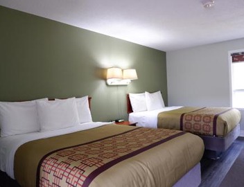 Pine Motel 3