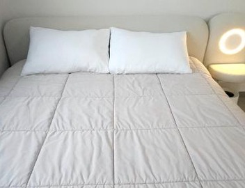 Pine-tree stay Mini 2