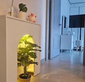 Pine-tree stay Mini 3