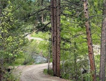 Private Mountain Escape 15min to Red Rocks + Denver 4