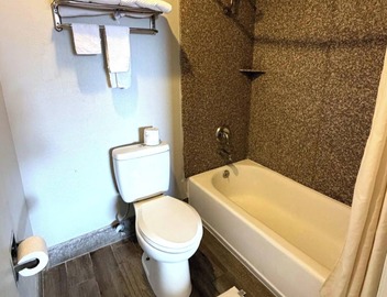 Regency Inn Three Rivers I-37 2