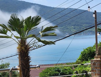 Relax and Enjoy the Beauty of Bird Song and Crashing Waves 5
