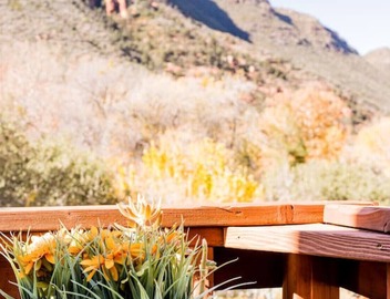 Renew Cabin | Hot Tub, Cold Plunge, Red Rock Canyon View, Stargazing Deck, Fire Pit 4