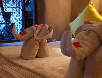 Riad Mehdia 2