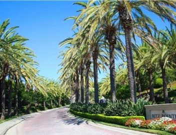 Ritz Pointe Paradise! 3