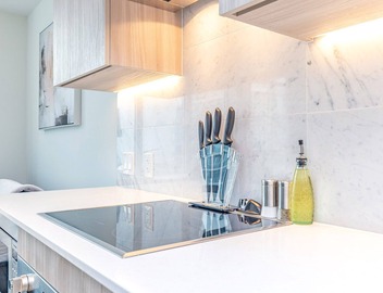 Saint Suites - Luxury High Rise Lake View/Gym/Wifi 2