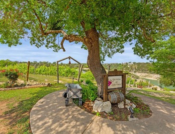 Shiraz Haus - Unit B 5