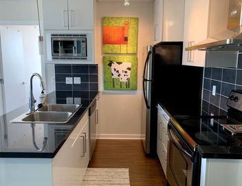 Sky High 3BR/2BTH - Spectacular Views, Free Parking! 4