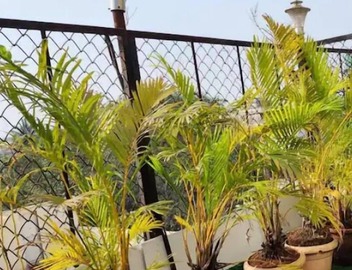 Sky Studio Classy place view of Mumbai in Heart of city and tourist place. 3