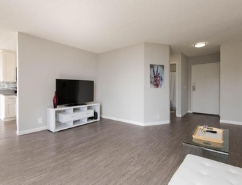 Skyline Palms 1-Bedroom with Roof-Top Pool 5