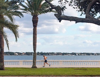 South Tampa! Stay Steps from Bayshore Near MacDill AFB 4