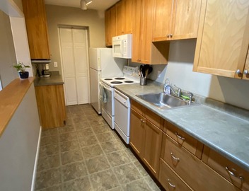 Spacious 2Bdrm walkable to UW, Shopping and More 2