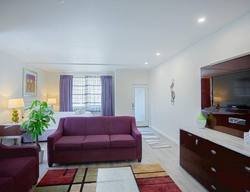 Spacious 500 sqft Studio with Balboa Park View 4