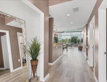 Spacious Apartment Masterfully Decorated 3