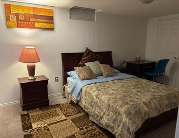 Spacious Basement Apartment in GTA 3